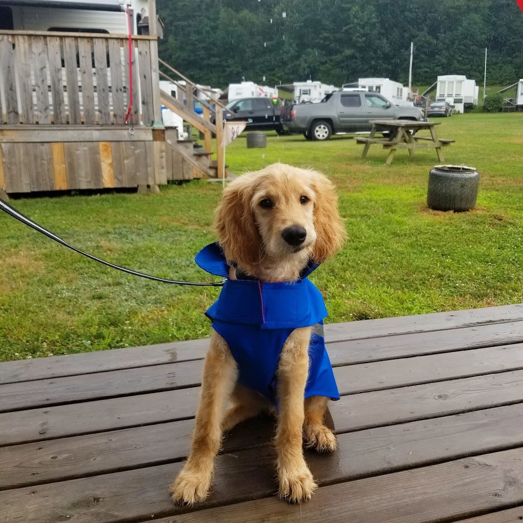 Sherwood Forest Camping Park | 6890 Nova Scotia Trunk 1, Coldbrook, NS B4R 1C5, Canada | Phone: (902) 679-6632