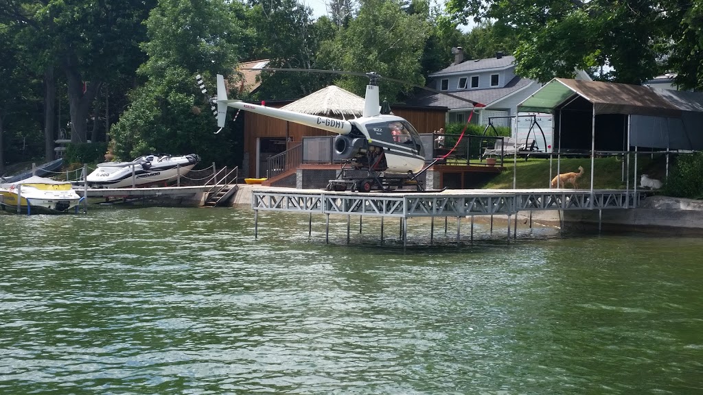 Big Wood Tree & Yard | 3769 Wood Ave, Orillia, ON L3V 6H3, Canada | Phone: (705) 795-4156