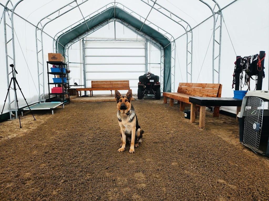 IDI Entrainement canin - Laval - | 1055 Rue Principale, Laval, QC H7X 1C1, Canada | Phone: (514) 742-7672