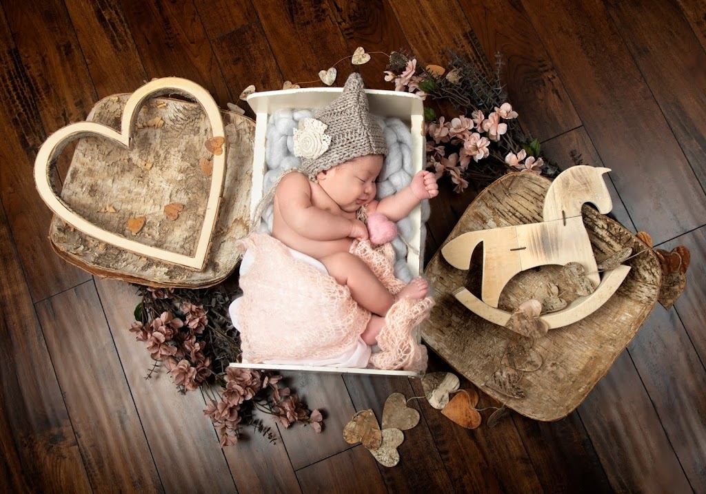 Lifestone Photography | 2865 Monck Rd, Ramara, ON L3V 0P6, Canada | Phone: (647) 270-6509