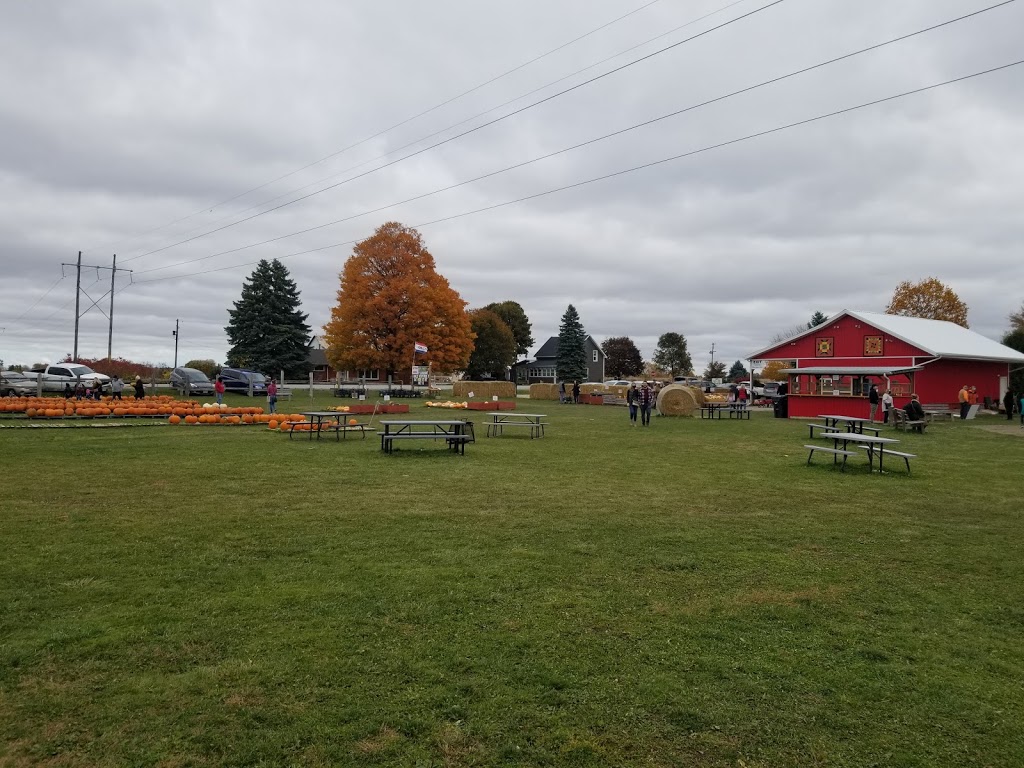 Allsop Farm Pumpkins & More | point of interest | 195 Road 3 E, Kingsville, ON N9Y 2E5, Canada | 5197332896 OR +1 519-733-2896