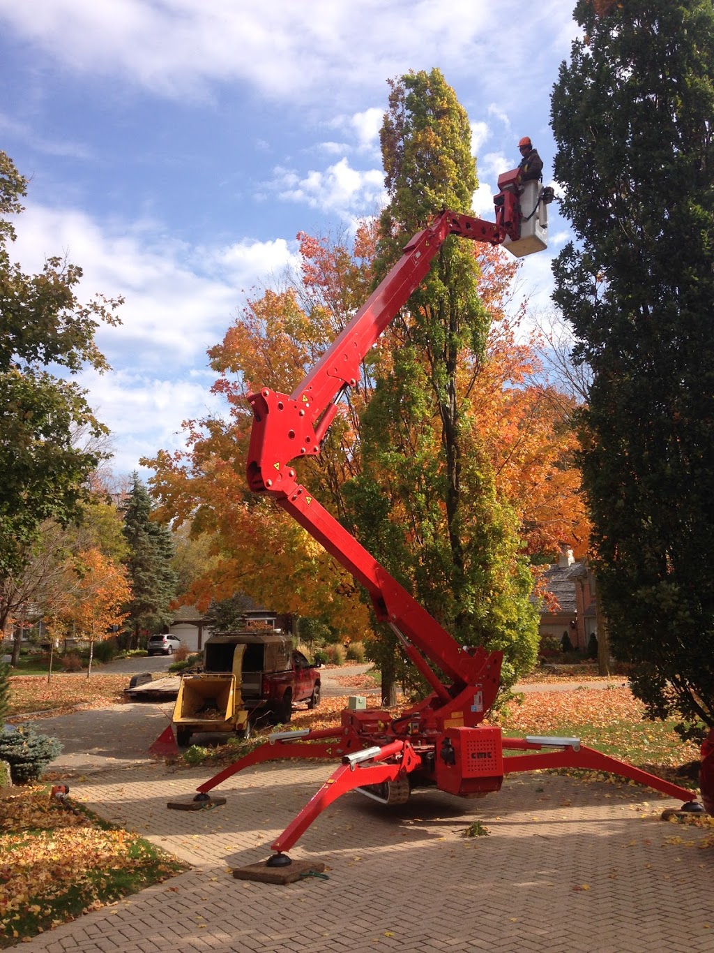 A&J Tree and Shrub Care Inc. | 451 Wilson St, Eden Mills, ON N0B 1P0, Canada | Phone: (519) 856-4226