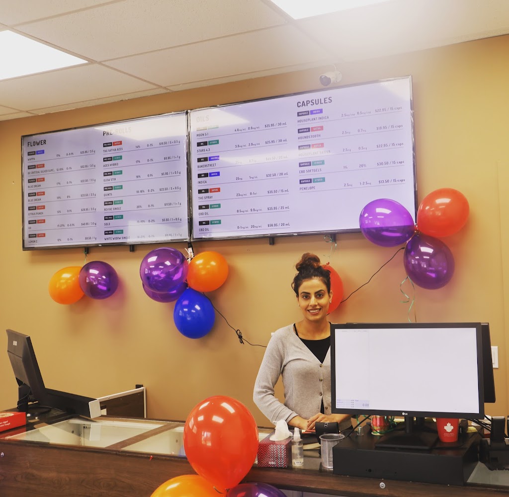 127 St Cannabis Queen | 12621 121 Ave NW, Edmonton, AB T5L 4T6, Canada | Phone: (780) 452-9449