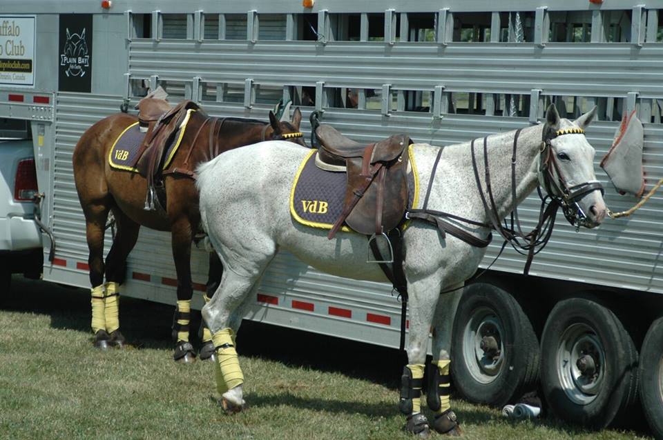Plain Bay Polo Centre | 52052 Regional Rd 24, Wainfleet, ON L0S 1V0, Canada | Phone: (905) 505-0140