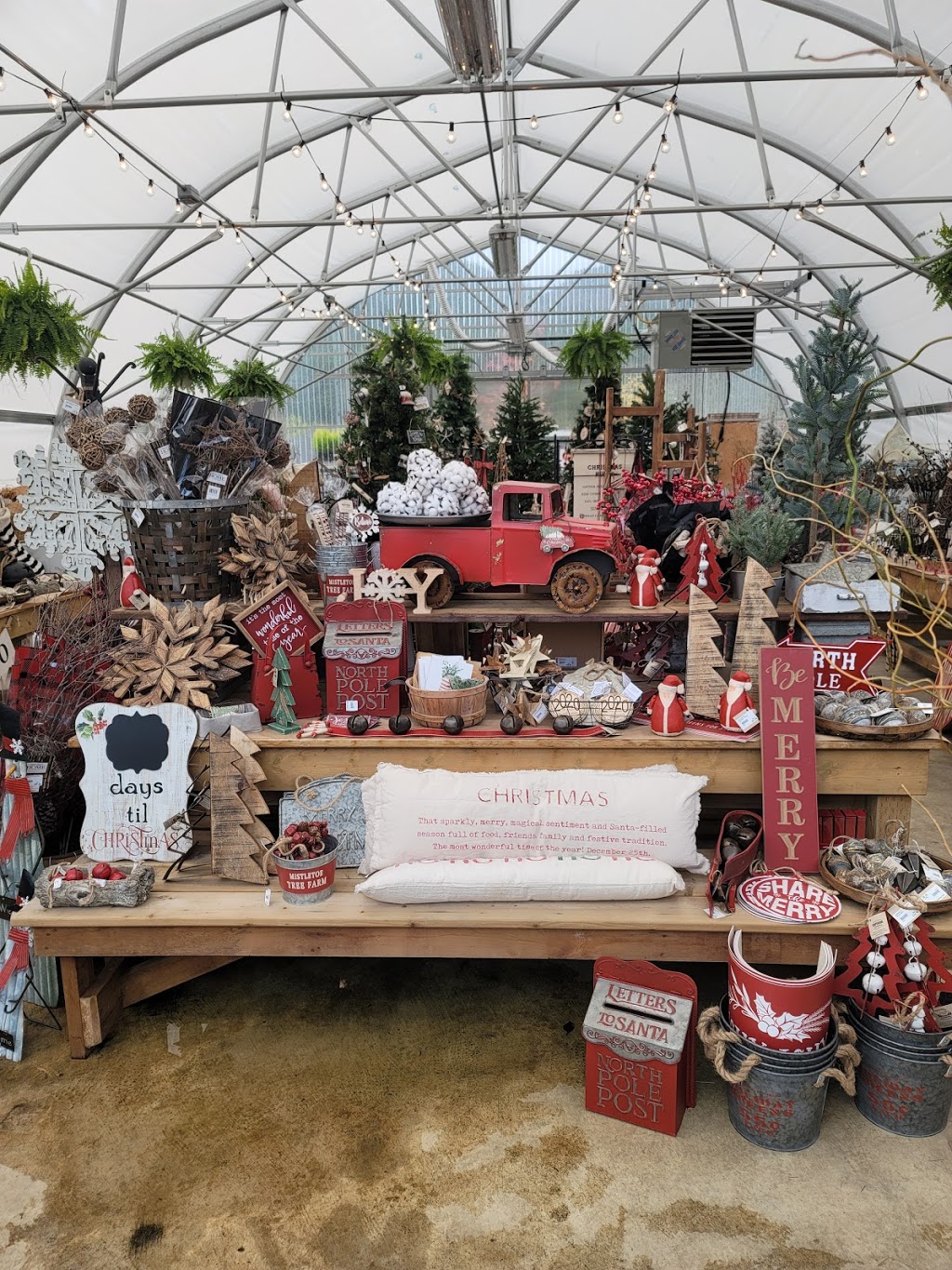 Superior Farms Inc aka Superior Growers, Superior Miniatures | 7995 Superior Rd, Lantzville, BC V0R 2H0, Canada | Phone: (250) 390-2435