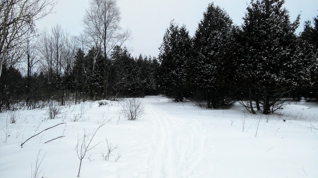 NCC Greenbelt P4 | Timm Dr, Ottawa, ON K2L 4G2, Canada