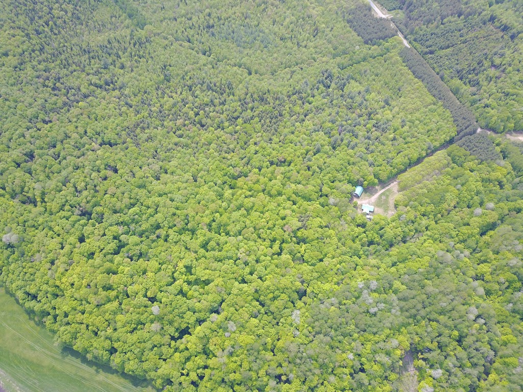 Le Shack à Rondeau | 950 Rang Pellerin, Saint-Célestin, QC, Canada | Phone: (819) 698-3766