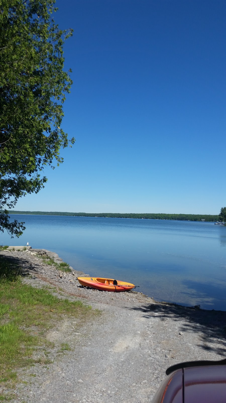 Cedar Beach Camp Resort | 2 Cedarest Ln, North Algona Wilberforce, ON K0J 1T0, Canada | Phone: (613) 628-2525