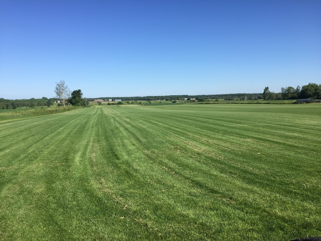Gazonniere Lavaltrie | 126 Rang Point-du-Jour S, Lavaltrie, QC J5T 3P3, Canada | Phone: (450) 586-1937
