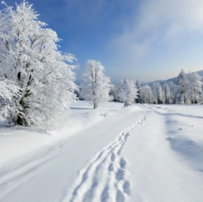 RICHMOND SNOW REMOVAL SERVICES | 9000 douglas st, Richmond, BC V6X 1V3, Canada | Phone: (778) 788-2386