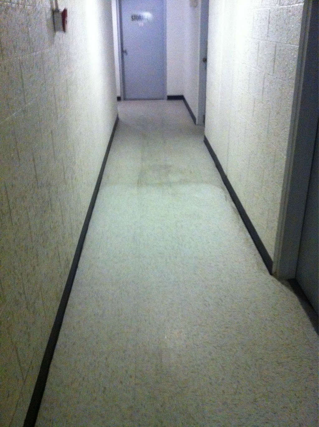 First Class Carpet Cleaning | 4850 Slocan St, Vancouver, BC V5R 2A3, Canada | Phone: (604) 839-9008