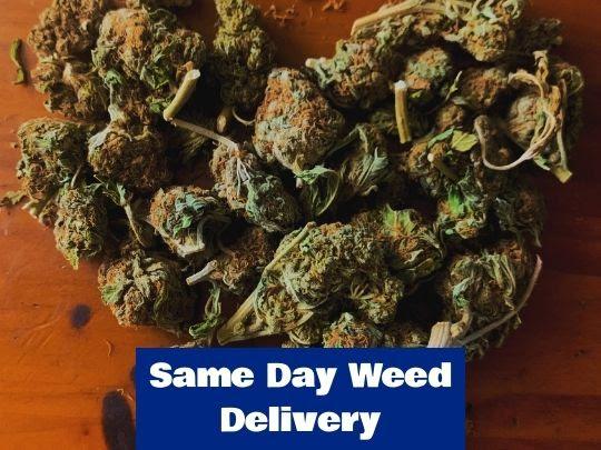 Weed Delivery in Ottawa WDO | 709 Somerset St W, Ottawa, ON K1R 6P6, Canada | Phone: (613) 519-7074