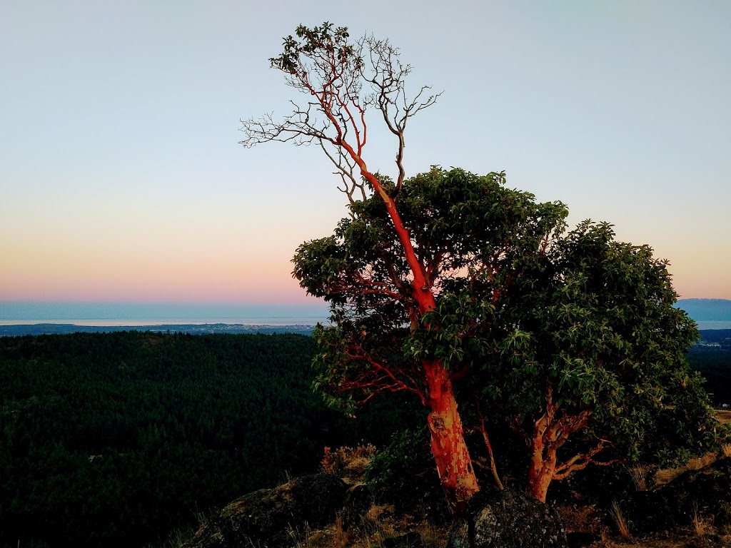 Lone Tree Hill | 1450 Millstream Rd, Victoria, BC V9B 6G1, Canada