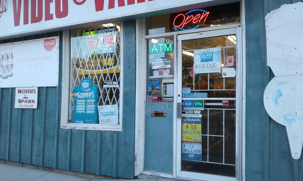 Bargain Mart Variety | 129 Birmingham St W, Mount Forest, ON N0G 2L1, Canada | Phone: (519) 323-4311