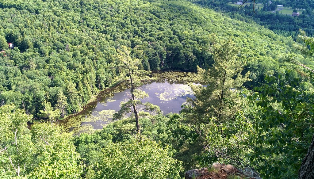 Alfred Kelly Nature Reserve | 1272 Rue de la Traverse, Prévost, QC J0R 1T0, Canada