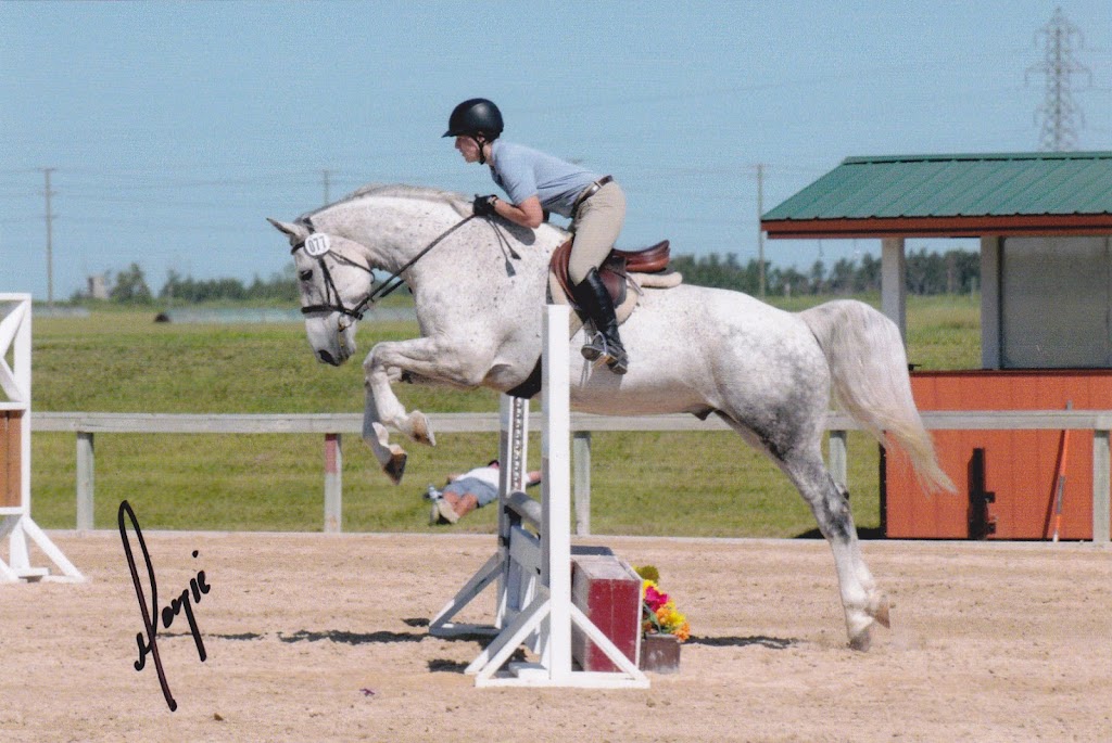 NorthernGates Stables | 29065 Melrose Road, Springfield, MB, Box 6 Group 19 RR2, Dugald, MB R0E 0K0, Canada | Phone: (204) 444-5416