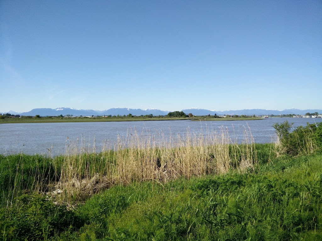 Brunswick Point Trail | Delta, BC V4K, Canada