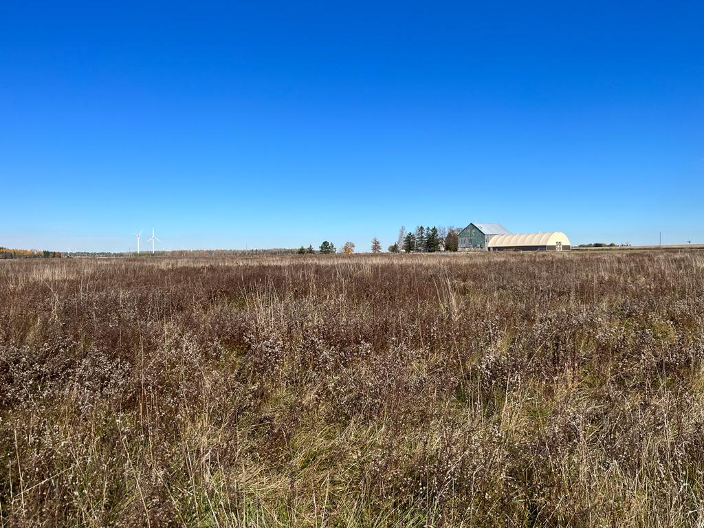 Northrock Farm | 255600 9 Line, Amaranth, ON L0N 1S0, Canada | Phone: (647) 409-3029