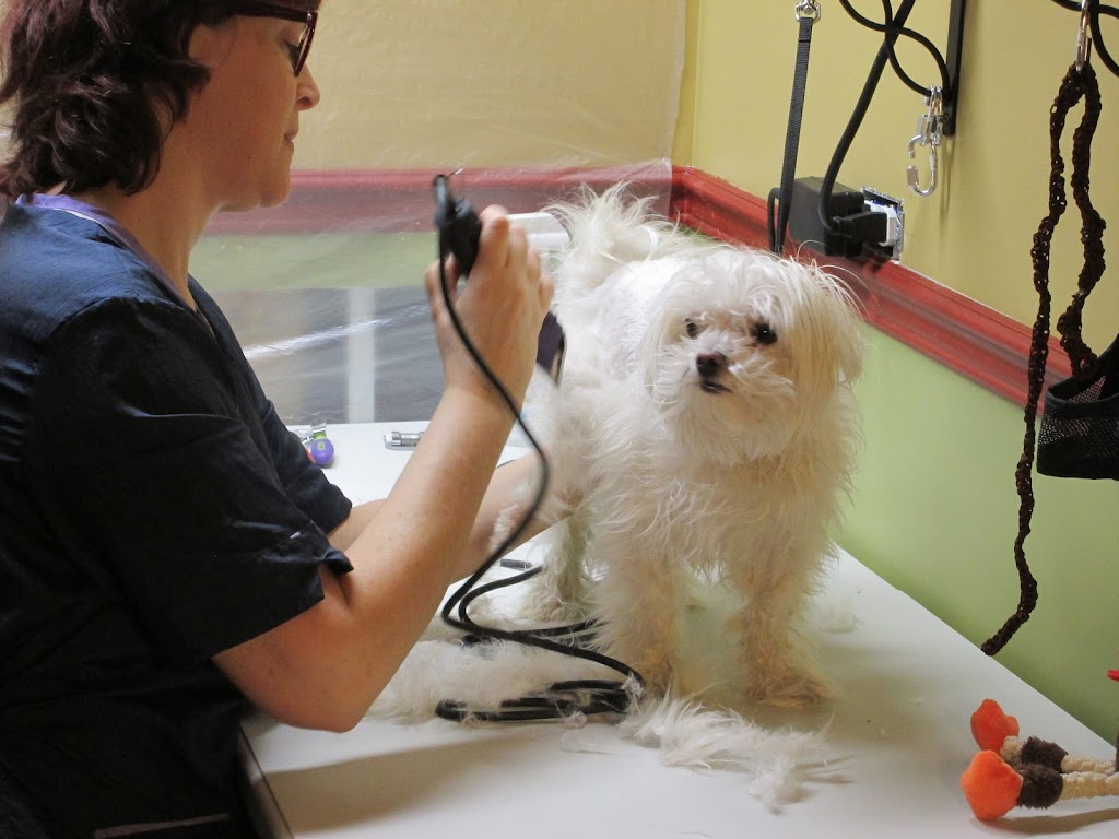 Caronimo | 1851 Mnt Major, Terrebonne, QC J7M 1E6, Canada | Phone: (450) 231-5667