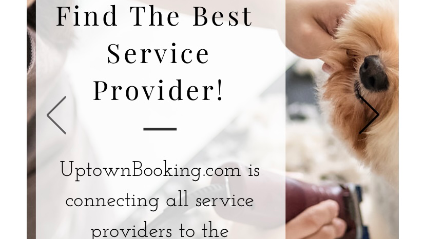 Uptownbooking.com - Local Service Providers | point of interest | 2969 Whisper Way, Coquitlam, BC V3B 2P7, Canada | 6725132260 OR +1 672-513-2260