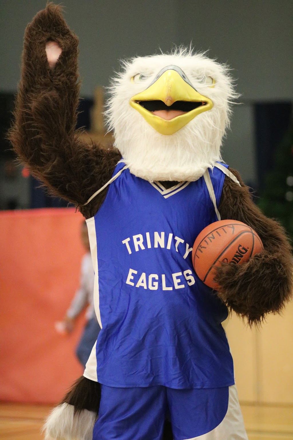 Trinity Christian School | 295 Midpark Way SE, Calgary, AB T2X 2A8, Canada | Phone: (403) 254-6682