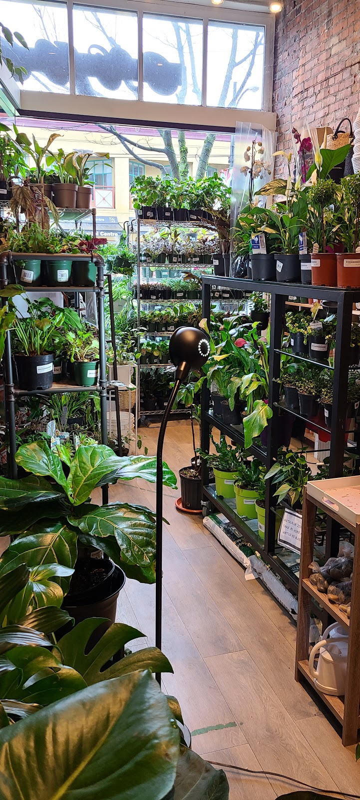 Exposure Home | 1572 W 4th Ave, Vancouver, BC V6J 1L7, Canada | Phone: (604) 253-5808
