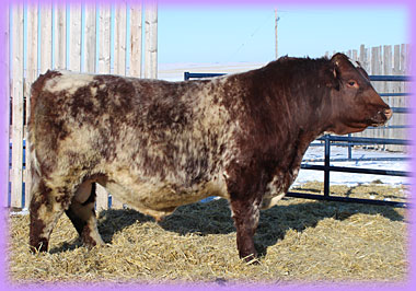 Meehan Farms | 2499 Upper Dwyer Hill Rd, Carp, ON K0A 1L0, Canada | Phone: (613) 276-1050