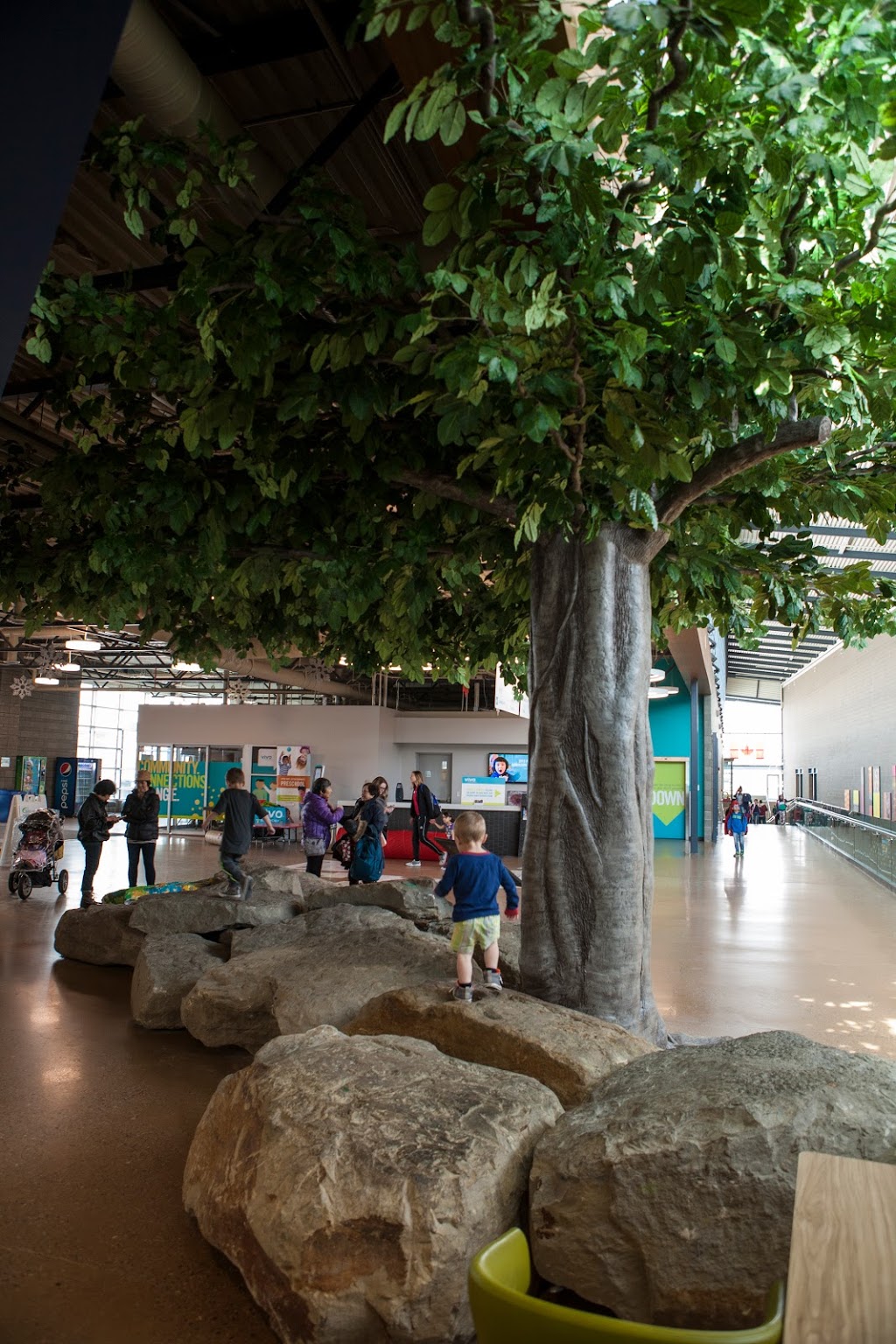 Greenscape Design & Decor | 3811 Myrtle St, Burnaby, BC V5C 4G1, Canada | Phone: (604) 437-1729