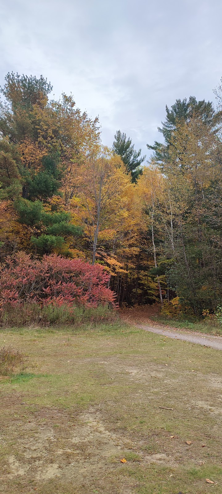 Philippe Lake Camping | 300 Chem. du Lac-Philippe, Sainte-Cécile-de-Masham, QC J0X 2W0, Canada | Phone: (819) 827-2020