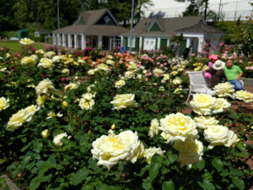 Centennial Rose Garden | Coquitlam Lawn Bowling, 640 Poirier St, Coquitlam, BC V3J 6B1, Canada | Phone: (604) 927-6300