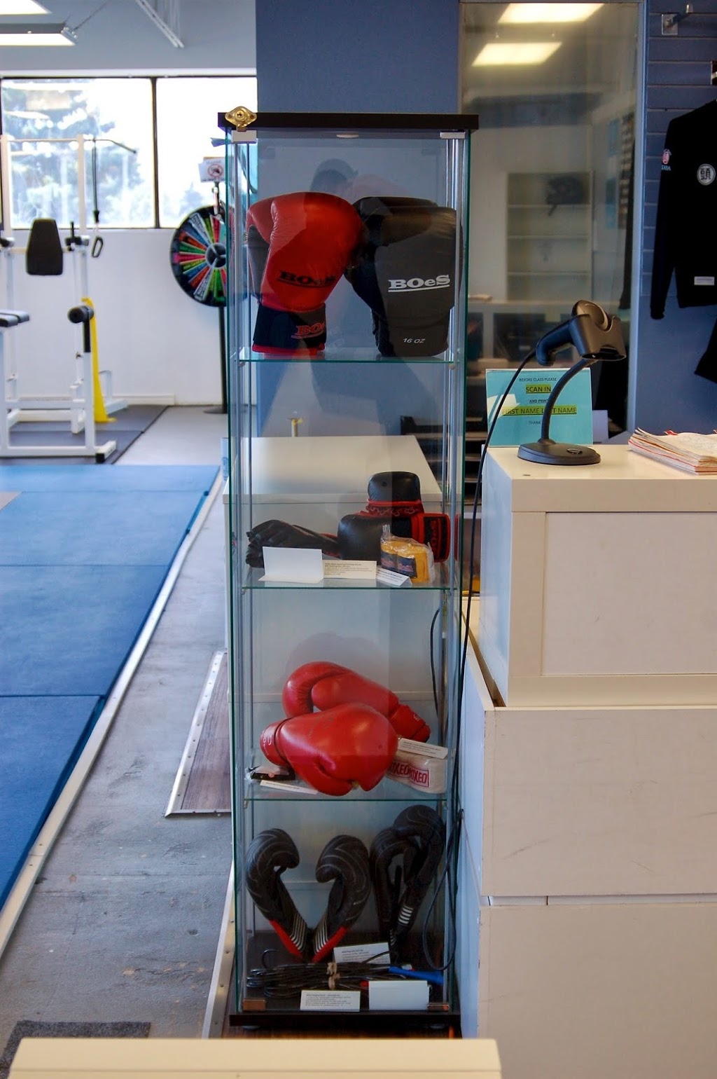 Lin Martial Arts | 100 Steelcase Rd E suite 201, Markham, ON L3R 1E8, Canada | Phone: (905) 213-9260