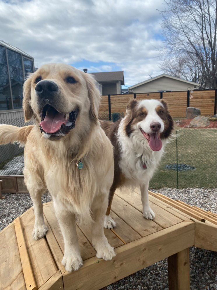 Molly et Moi | 1305 Chem. de Saint-Jean, La Prairie, QC J5R 2L8, Canada | Phone: (438) 937-5181