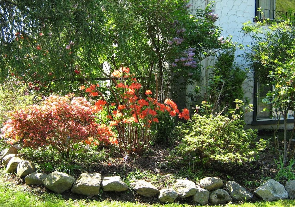 Noble Hope Adult Day Care | 2425 224 St, Langley City, BC V2Z 2Z3, Canada | Phone: (604) 539-8254