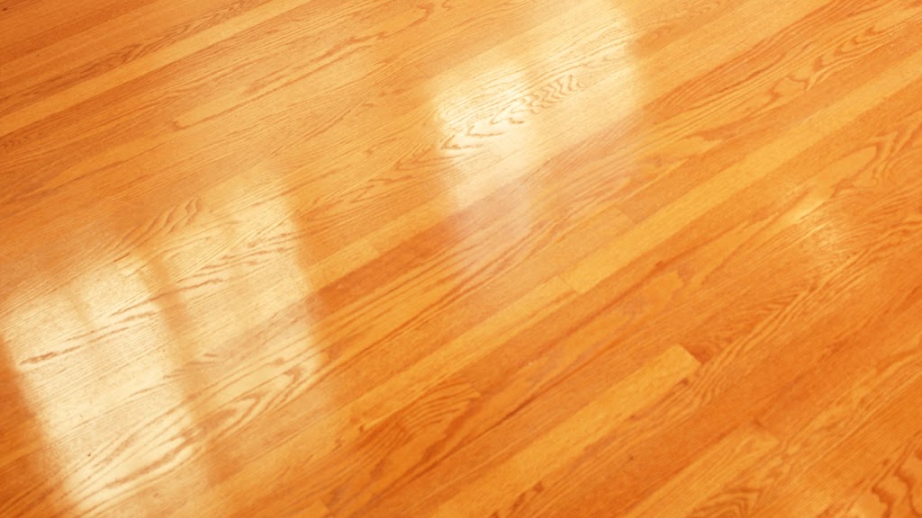 Rénovation après sinistre | Local A, 343 Rue des Bois, Saint-Apollinaire, QC G0S 2E0, Canada | Phone: (866) 495-4925