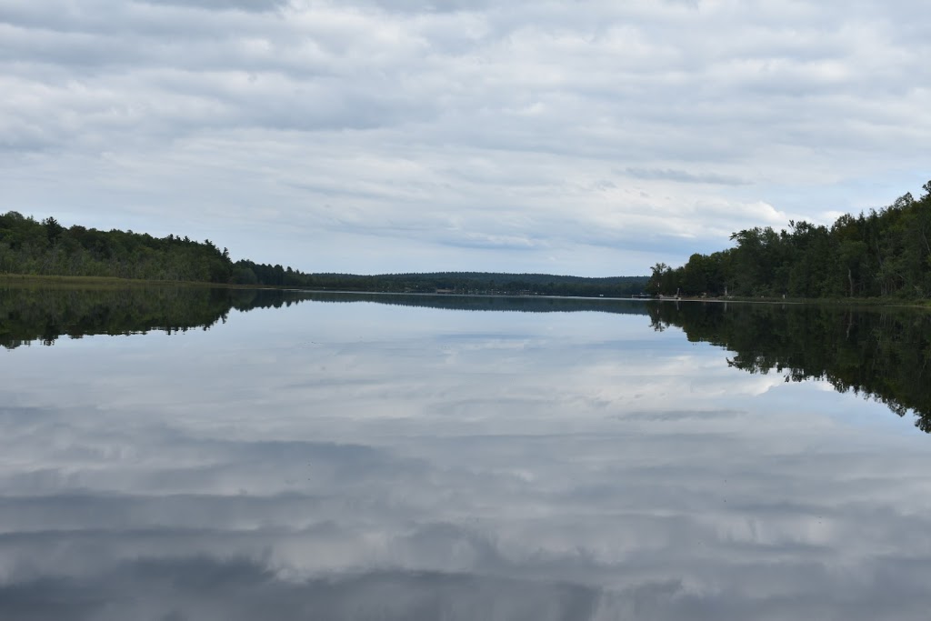 Ferguson Farm Campground | 154 Campground Sideroad, Renfrew, ON K7V 3Z7, Canada | Phone: (613) 432-5783