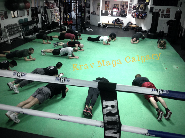 Krav Maga Calgary | 2633 Hochwald Ave SW, Calgary, AB T3E 7K2, Canada | Phone: (403) 493-4886