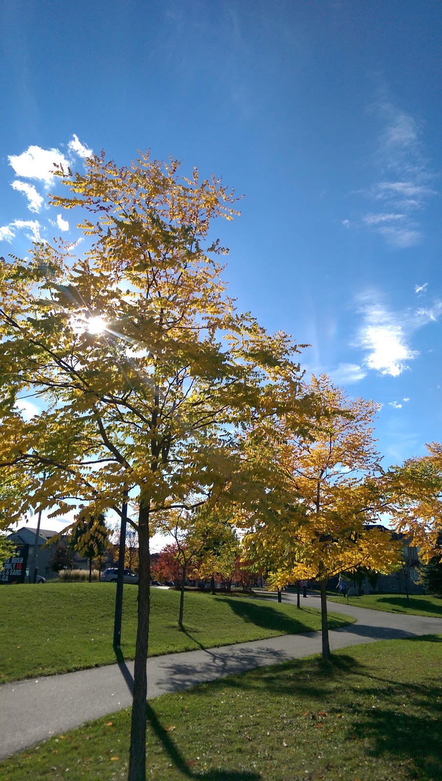 Ada Johnson Park | 17 Wallwark St, Aurora, ON L4G 0J1, Canada | Phone: (905) 727-1375