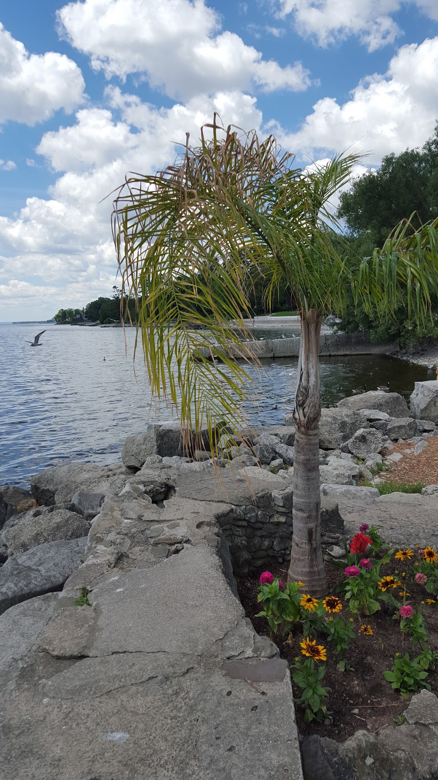 Oakville Galleries | 1306 Lakeshore Rd E, Oakville, ON L6J 1L6, Canada | Phone: (905) 844-4402