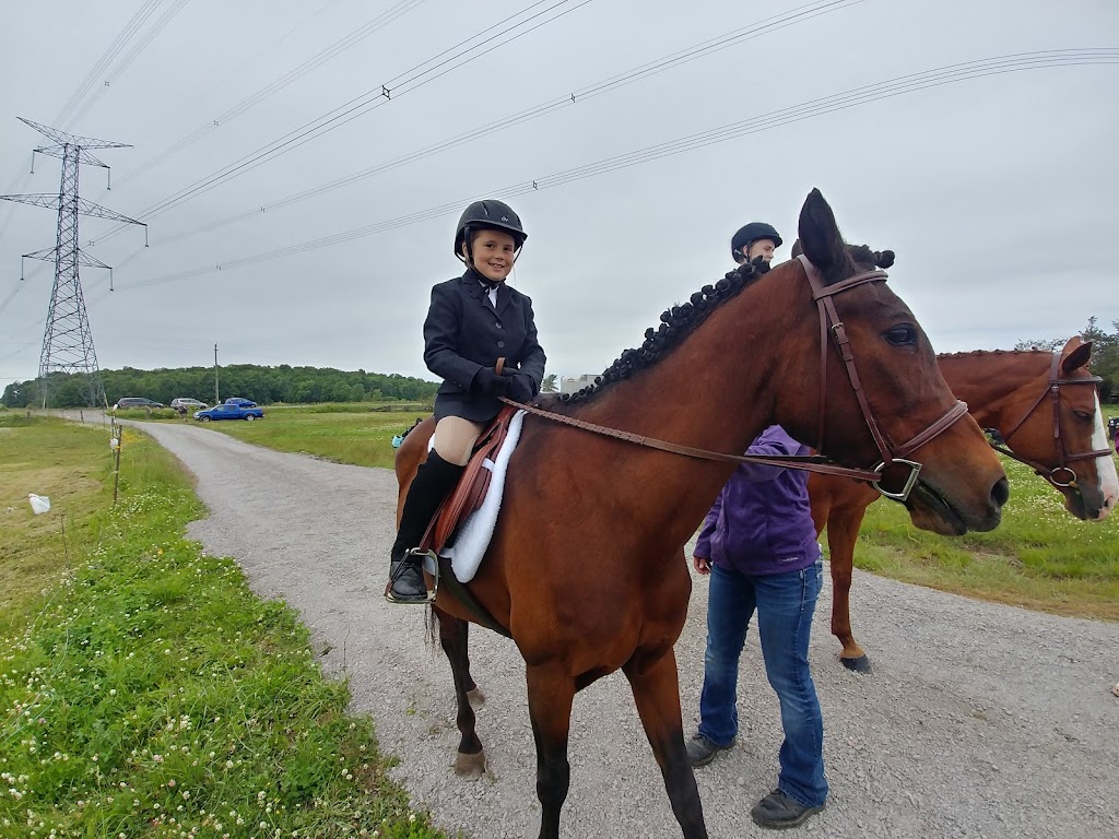 Flat Rock Farm Equestrian | 1350 Shannonville Rd, Shannonville, ON K0K 3A0, Canada | Phone: (613) 661-9028