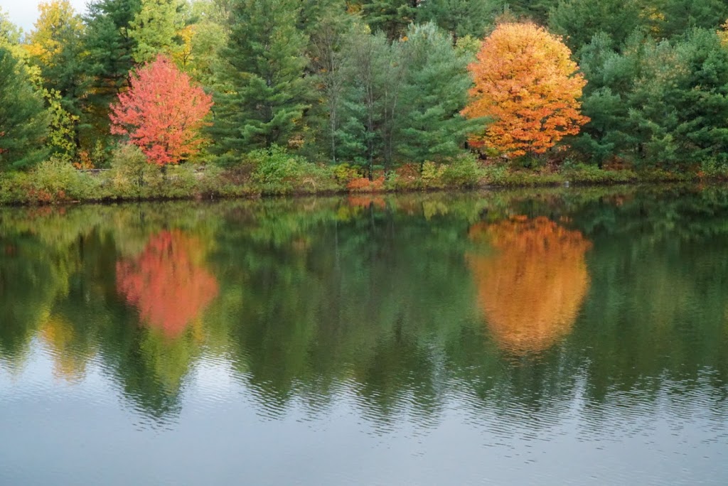 Bushs Watersports Park | 3385 Muskoka District Road 169, Bala, ON P0C 1A0, Canada | Phone: (705) 762-5722