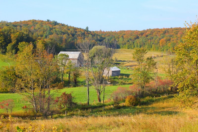 Ferme et Forêt | 225 Chem. Shouldice, Wakefield, QC J0X 3G0, Canada | Phone: (819) 459-3861