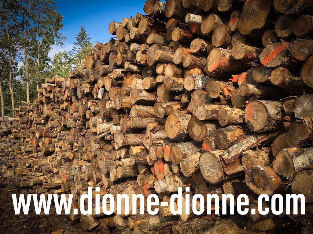 Bois chauffage dionne | Quebec City, QC G2G 2G5, Canada | Phone: (418) 933-9836