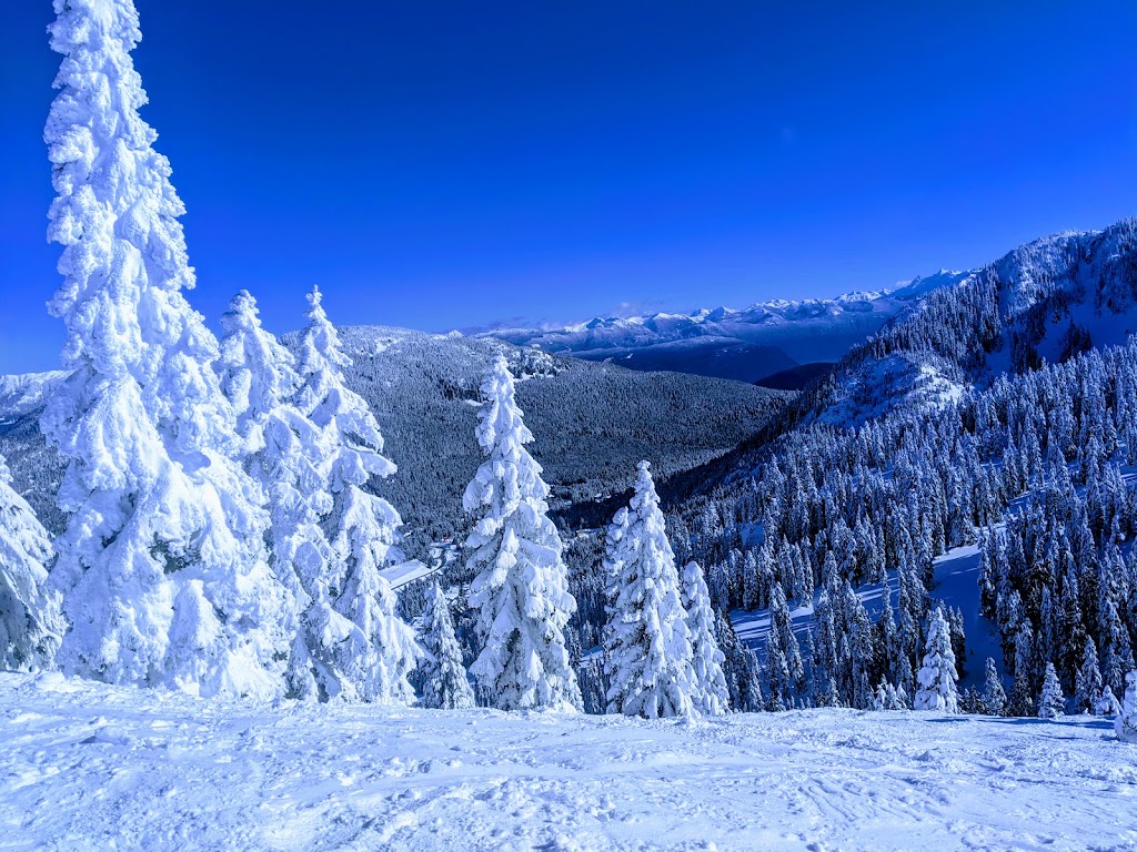 Sasquatch Mountain Resort | 20955 Hemlock Valley Rd, Agassiz, BC V0M 1A1, Canada | Phone: (604) 797-4411