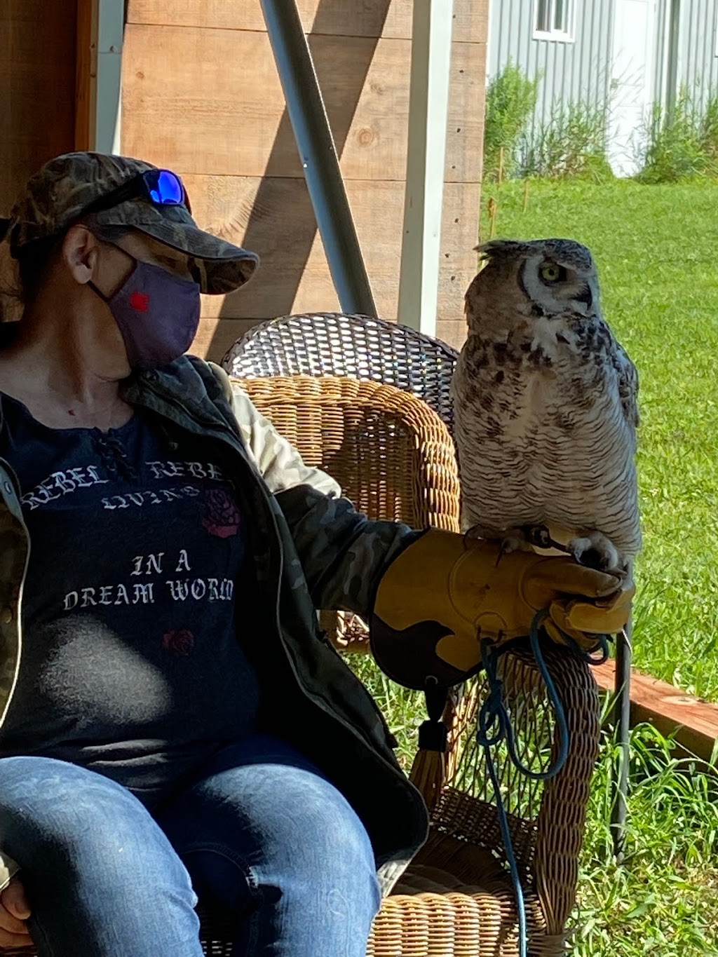 Hawkeye Bird and Animal Control & Falconry Experience Acton | 5048 erin, 1 Line, Acton, ON L7J 2L9, Canada | Phone: (416) 429-5393