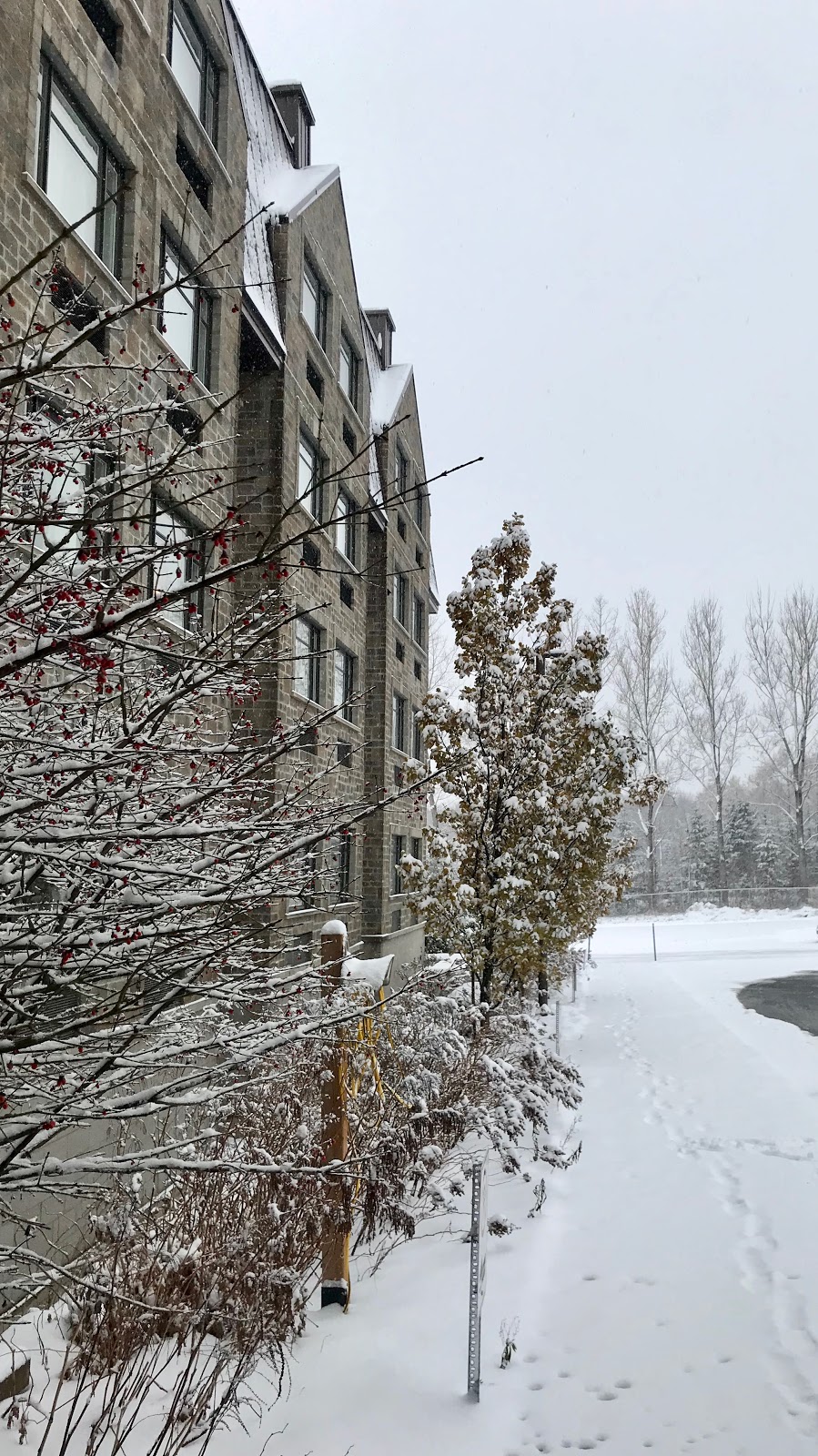 Hôtel Signature Québec | 7900 Rue du Marigot, Québec, QC G1G 6T8, Canada | Phone: (418) 627-8008