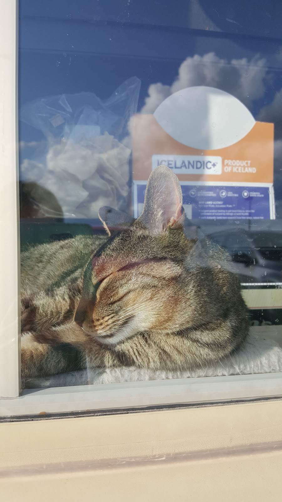 Global Pet Foods | 1154 Chemong Rd, Peterborough, ON K9H 7J6, Canada | Phone: (705) 743-2727