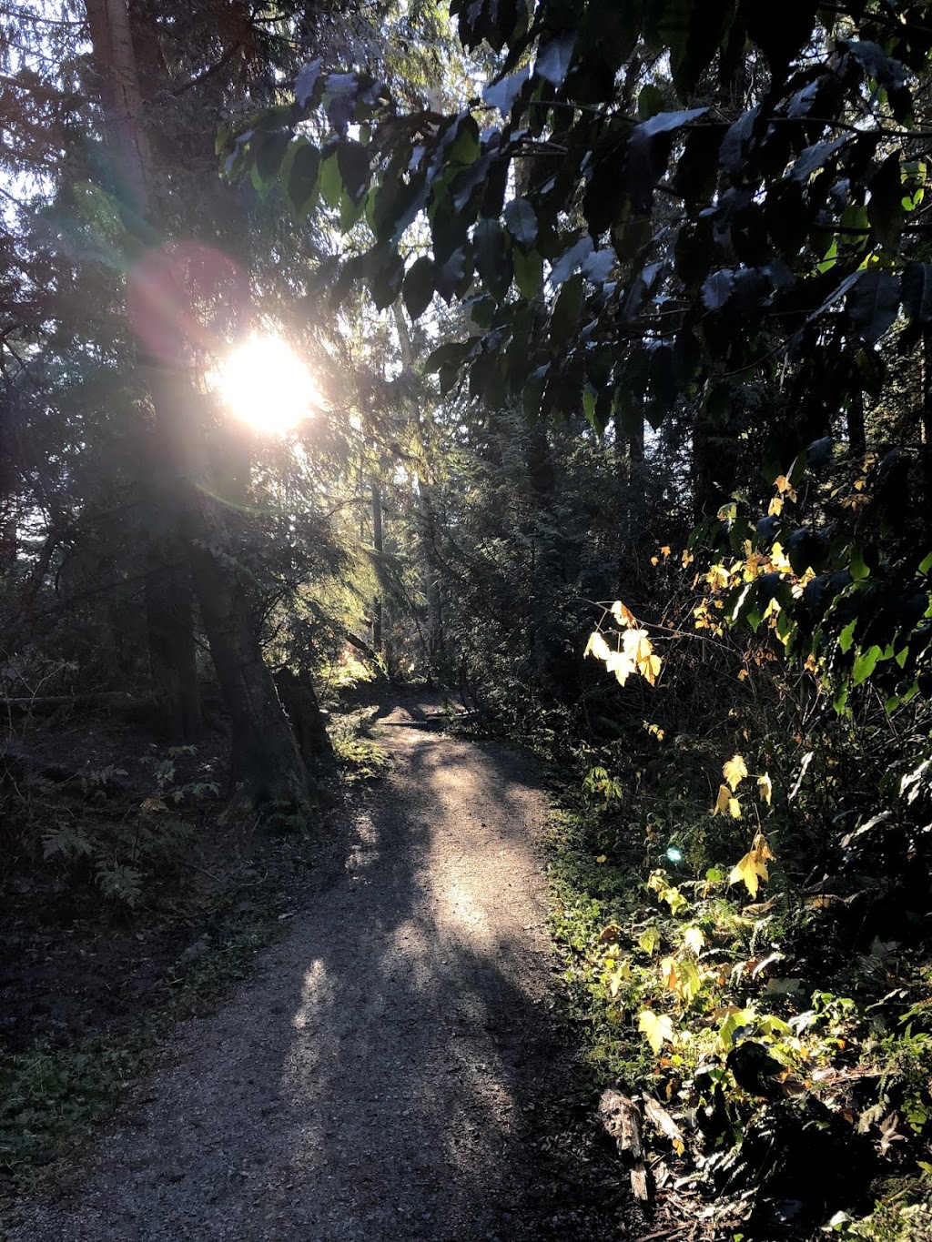 Camosun Trail | 33, Vancouver, BC V6R 3E3, Canada