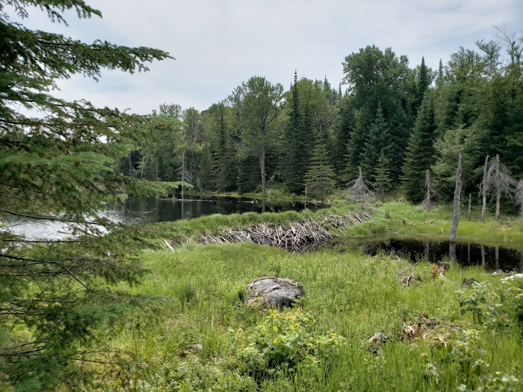 Parc régional Kiamika - Bureau daccueil | 1850 Bd Fernand Lafontaine, Rivière-Rouge, QC J0T 1T0, Canada | Phone: (819) 278-5402