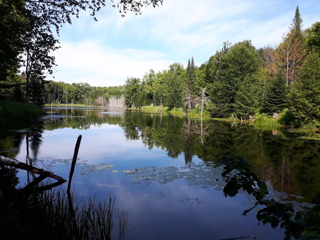 Au-delà du boulot | 16 Rue du Lac Martinez, Brownsburg, QC J8G 2E1, Canada | Phone: (514) 605-5169