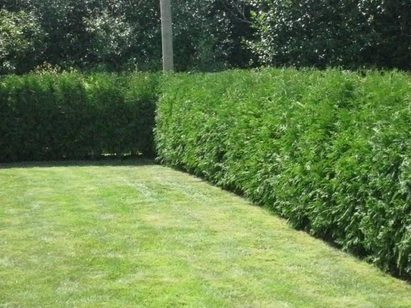 Manotick Landscaping Contractors | 2709 River Rd suite a, Manotick, ON K4M 1B4, Canada | Phone: (613) 715-3382